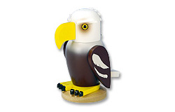 2009: The Bald Eagle