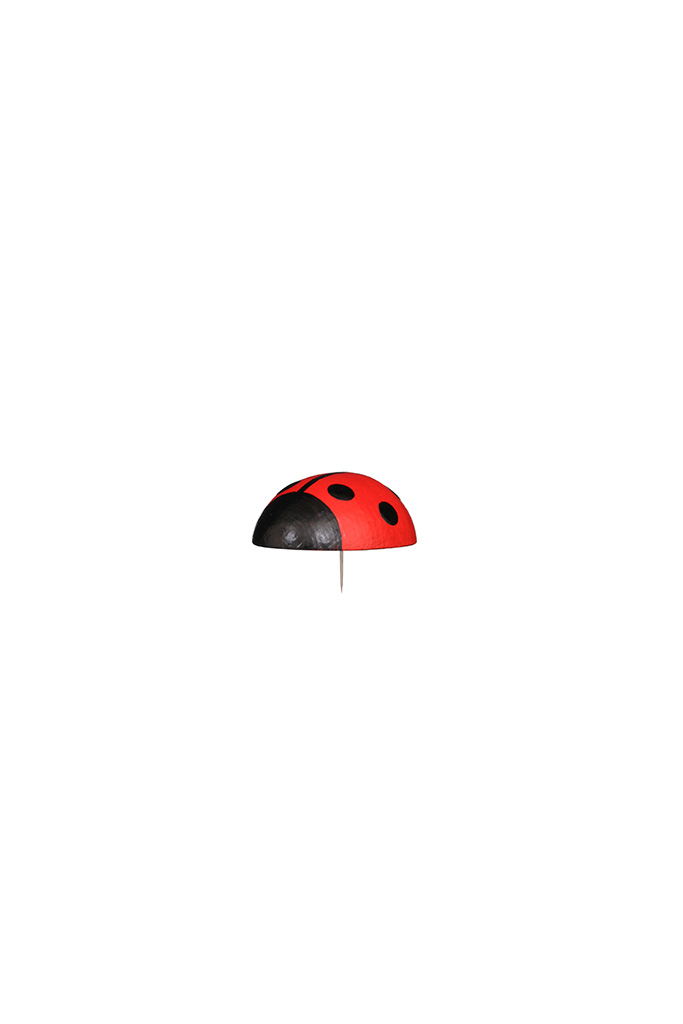 Ladybug Large
