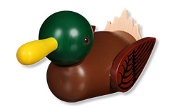 2017: The Mallard Duck